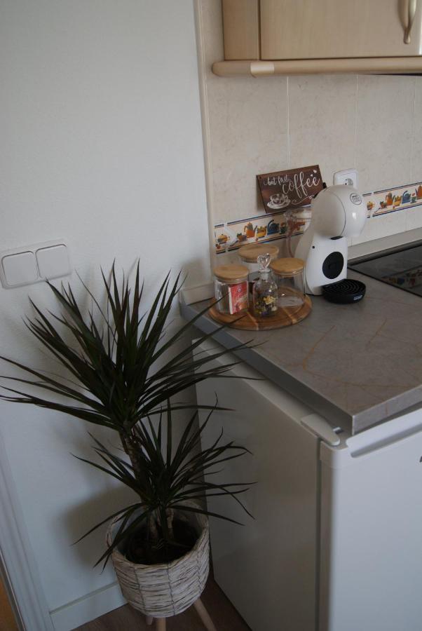 Apartamento Penas Blancas, Junto A Ruta De Los Cahorros, Monachil. מראה חיצוני תמונה